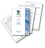 Insights Discovery Personal Profile