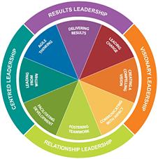 Insights Leadership Disc